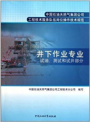 中國(guó)石油天然氣集團(tuán)公司工程技術(shù)服務(wù)隊(duì)伍崗位操作技術(shù)規(guī)劃 構(gòu)建卓越服務(wù)體系，保障能源安全