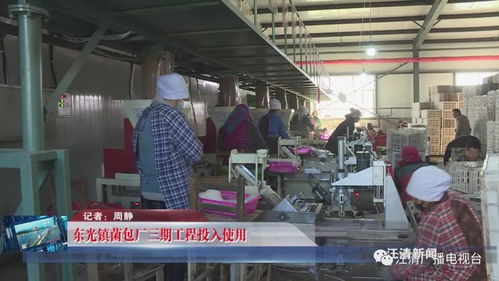 東光鎮菌包廠三期工程順利投產，技術服務賦能產業升級